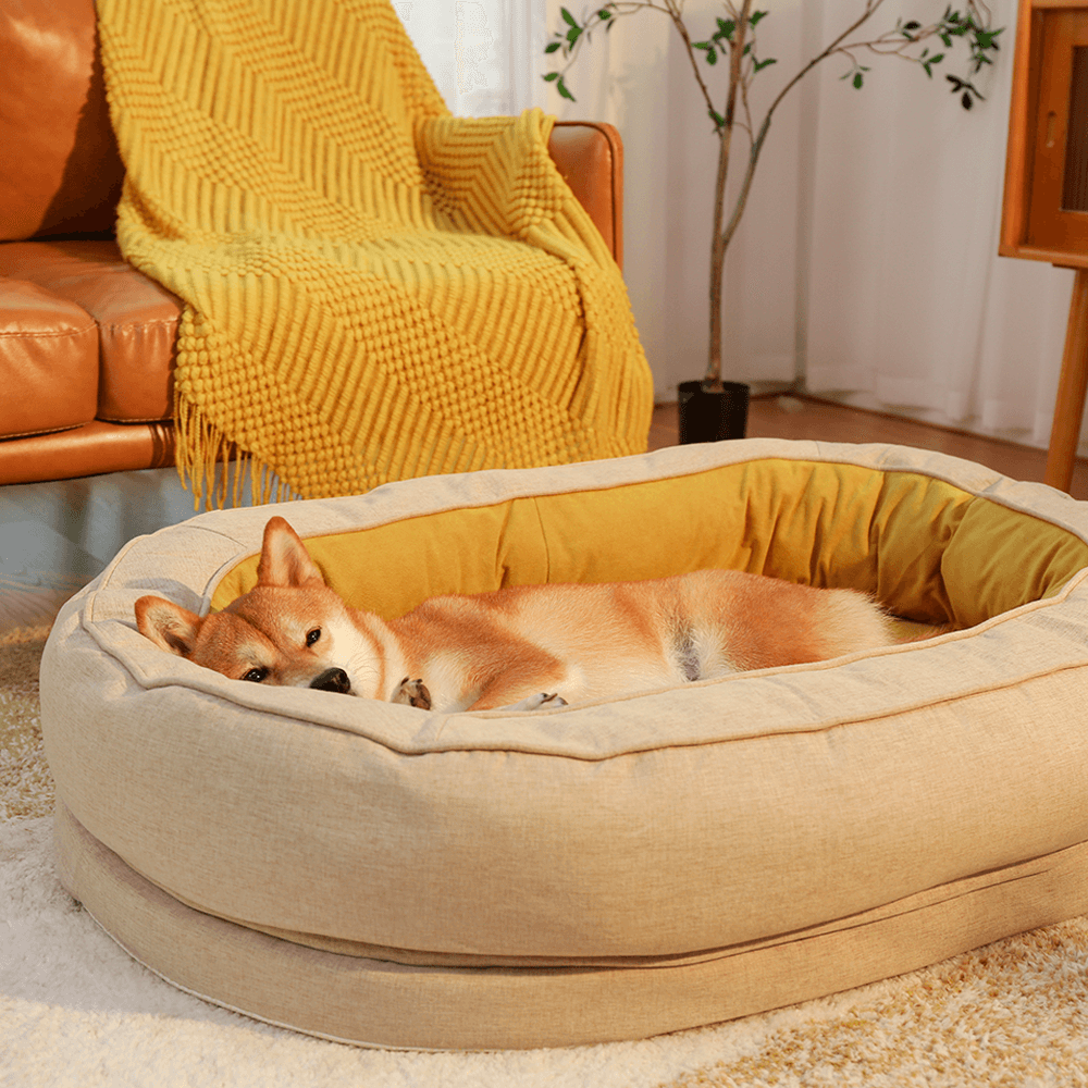 CAMA ORTOPÉDICA DONUT™