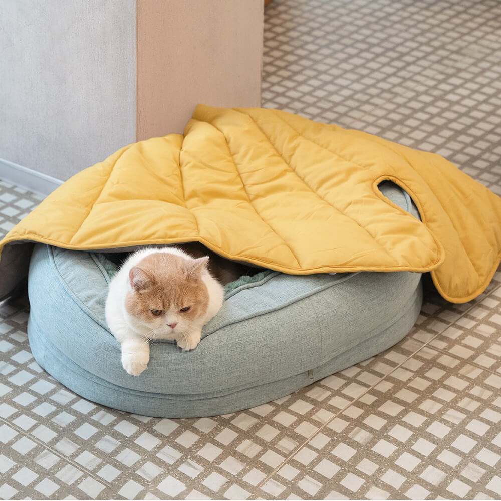 CAMA ORTOPÉDICA DONUT™