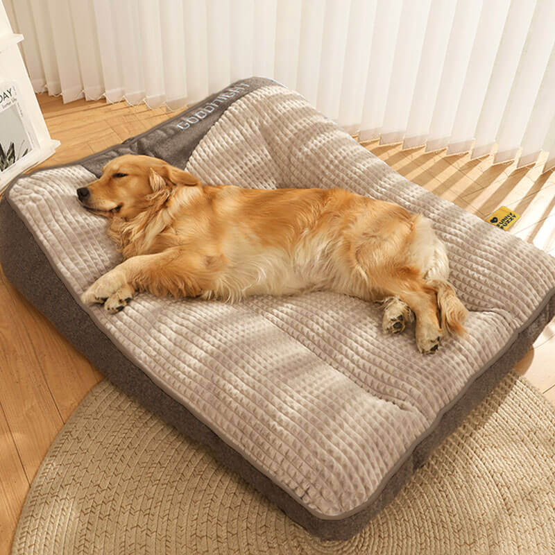 CAMA ORTOPÉDICA PROTECTOR™