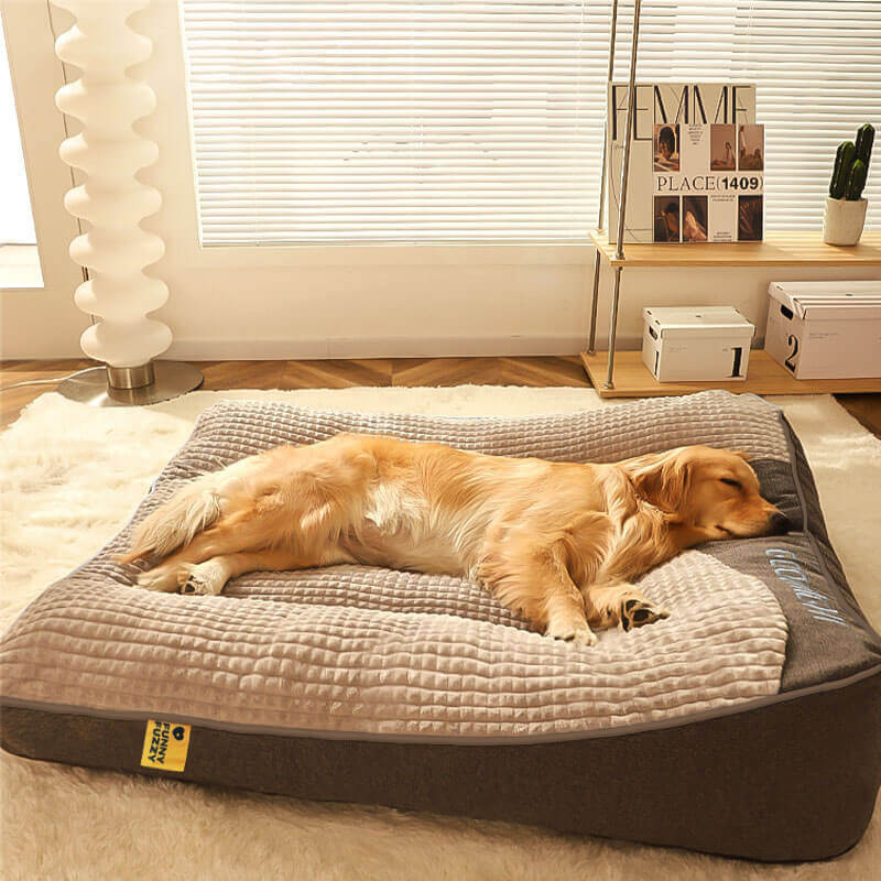 CAMA ORTOPÉDICA PROTECTOR™
