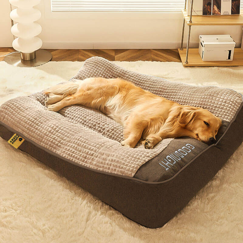 CAMA ORTOPÉDICA PROTECTOR™