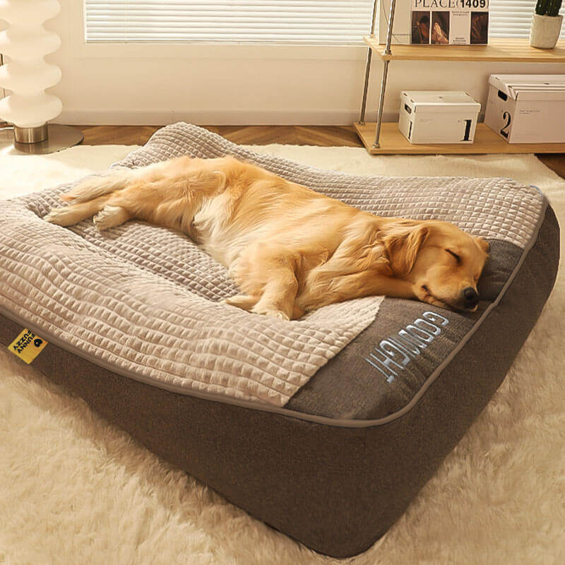 CAMA ORTOPÉDICA PROTECTOR™