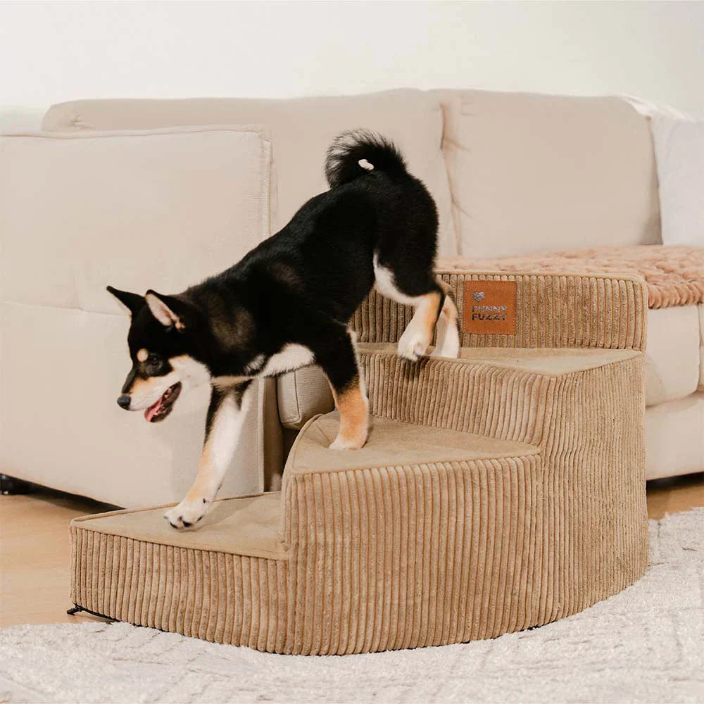 [COMPRE 1 LEVE 2] Escada Artesanal em Espiral para Pet + 2 Brindes Incríveis
