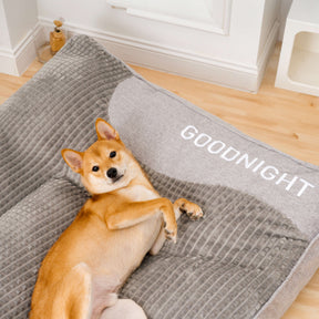 CAMA ORTOPÉDICA PROTECTOR™
